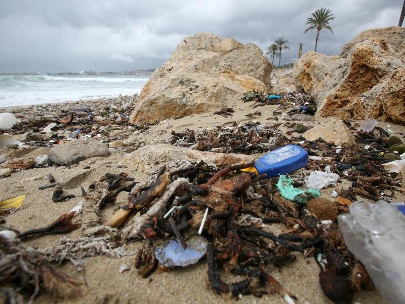 Müll, vermischt mit sanitären Abfällen, häuft sich in der Bucht von Palma. Bei Regen sind die Klärwerke schnell überfordert und ungeklärte Abwässer fließen direkt ins Meer.