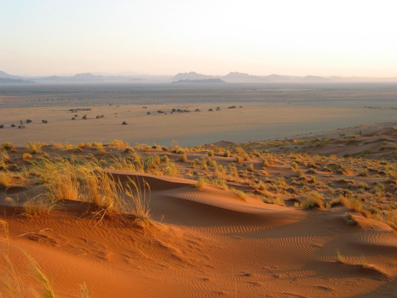 Spuren im Sand - In einem lebendigen Museum der San in Namibia