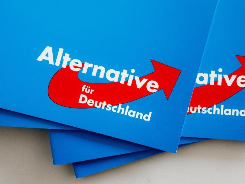 Parteibroschüren der Alternative für Deutschland (AfD).