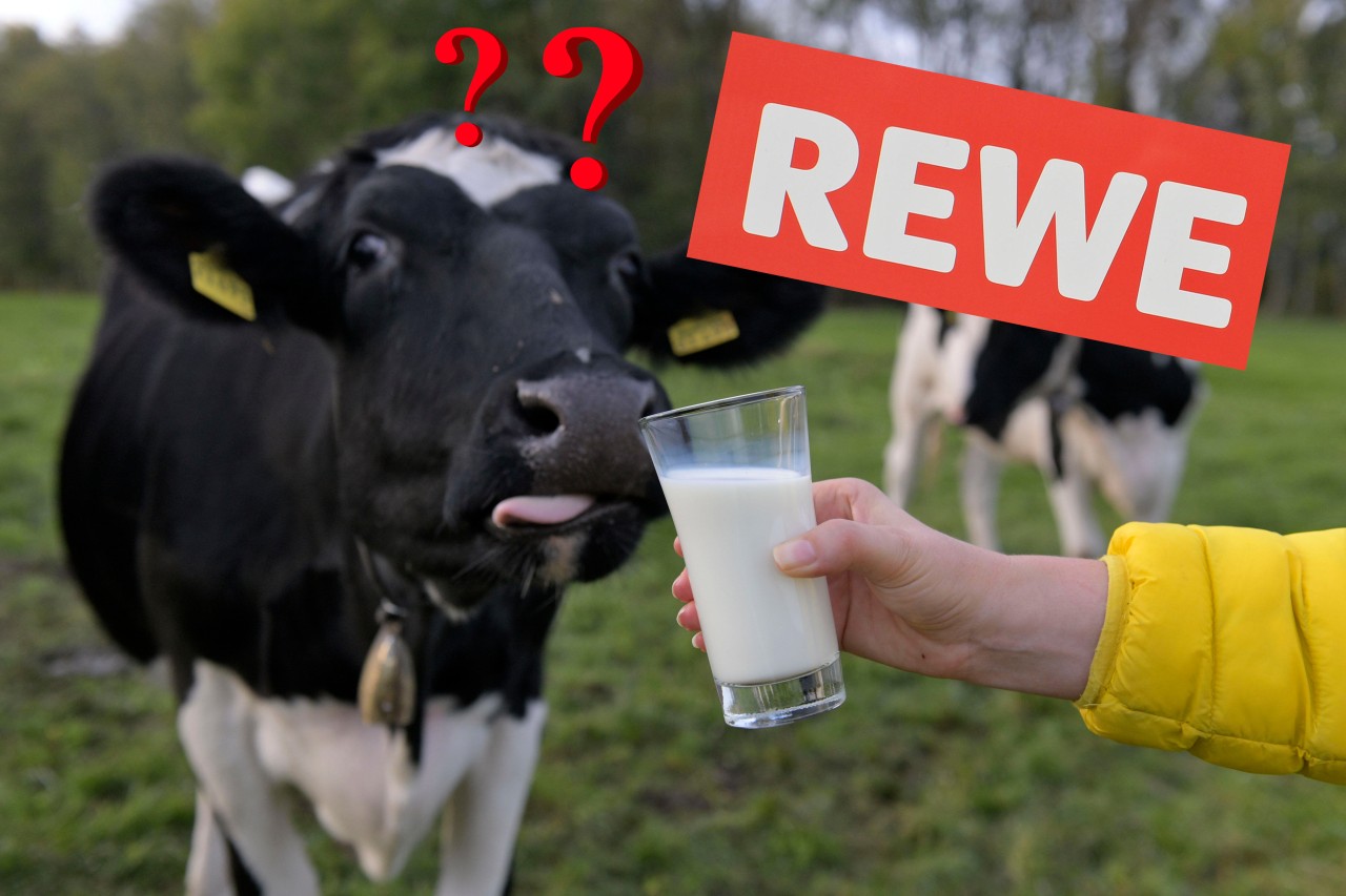 Eine Rewe-Kundin aus Bochum wird sauer, als sie auf ihre Milch-Packung schaut. (Symbolbild)