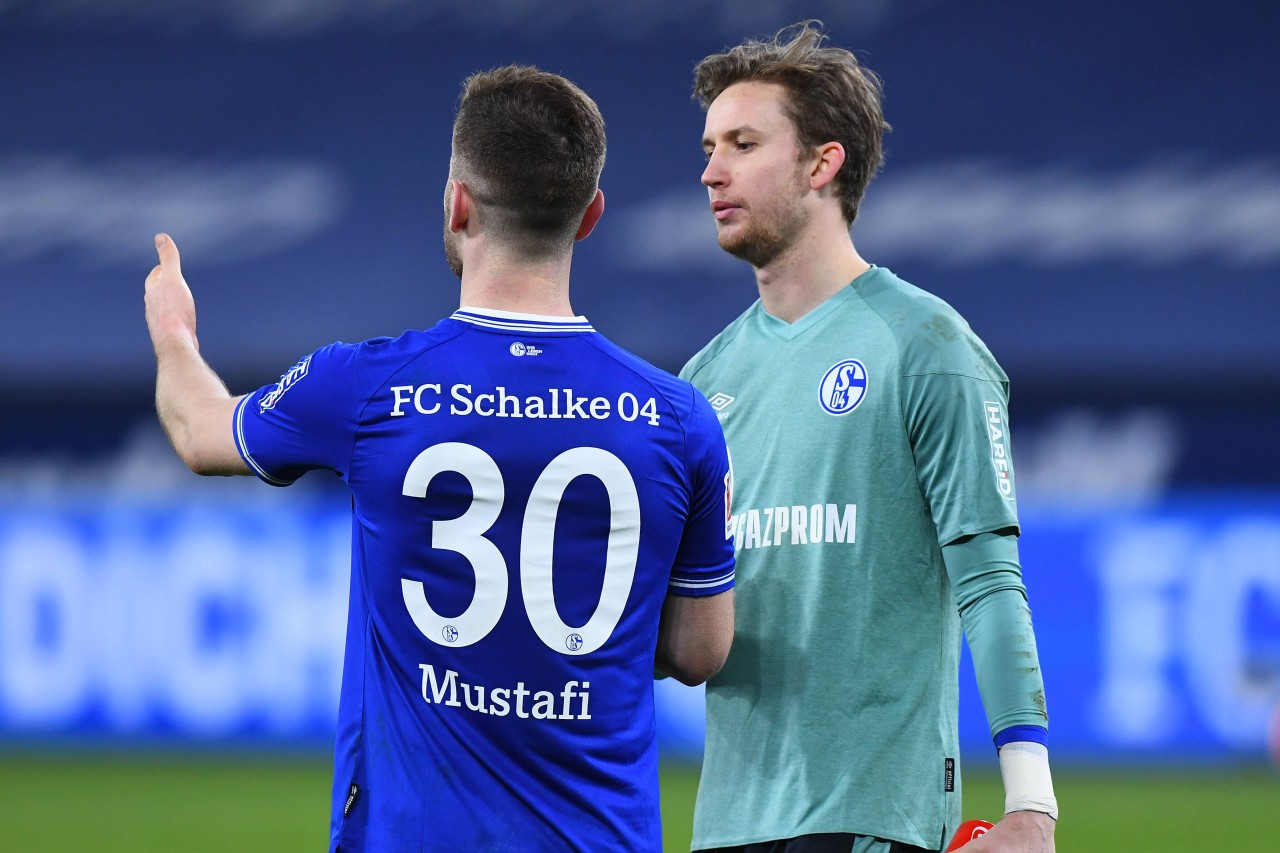 Rönnow und Mustafi sind bei Schalke 04 nur zweite Wahl.
