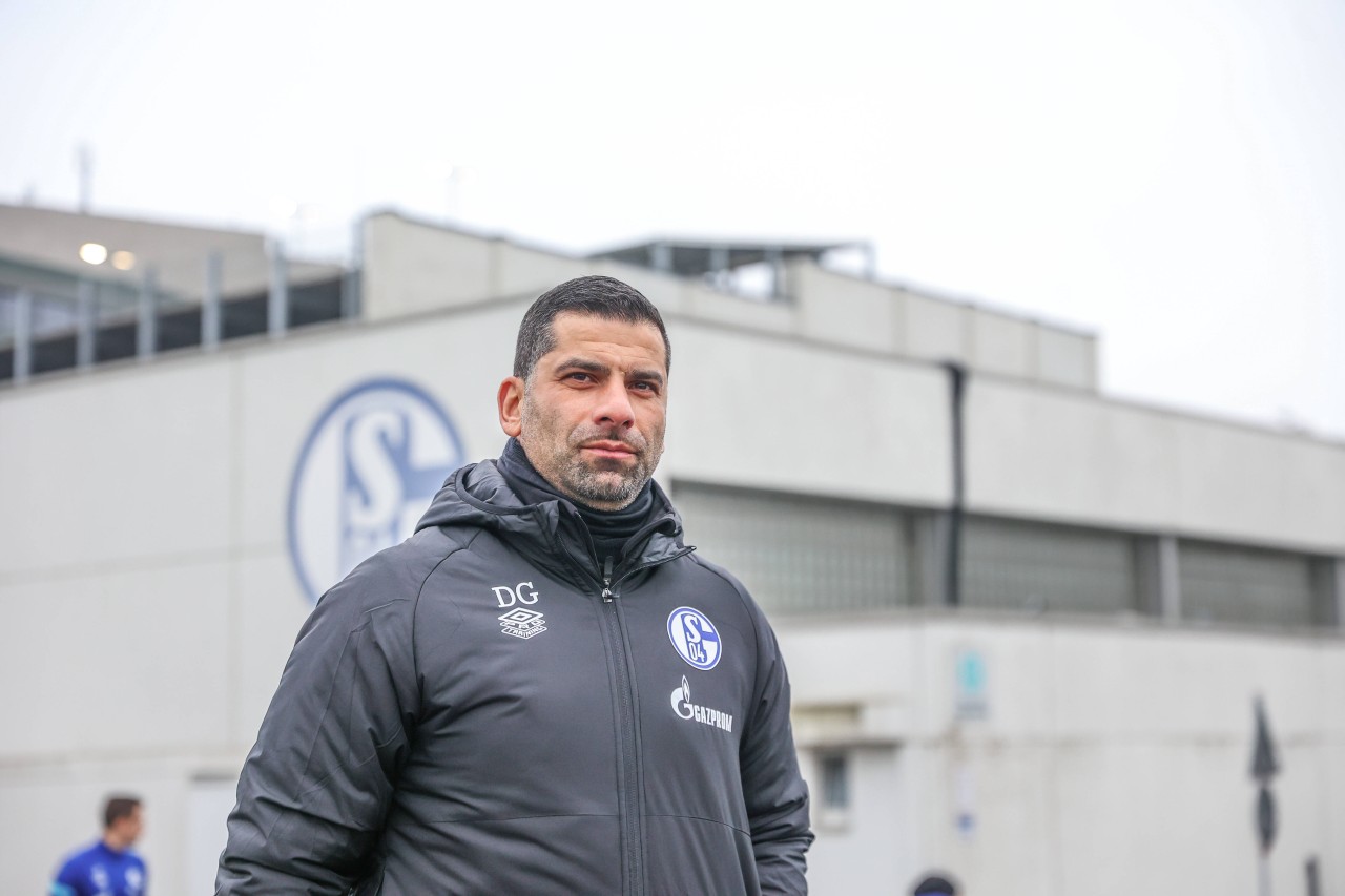 Fc Schalke 04: Trainer Dimitrios Grammozis äußert sich zu einer wichtigen Personalie. 