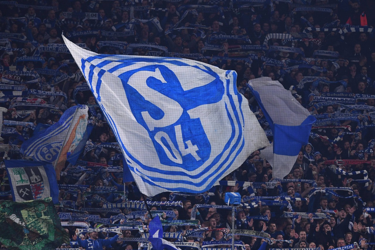 Ein Schalke-Fan sorgt mit verrückter Idee für Lacher!