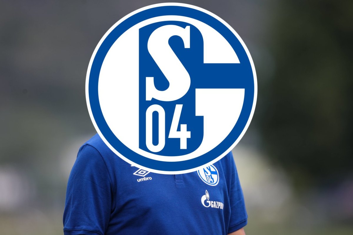 Schalke 04 Wagner.jpg