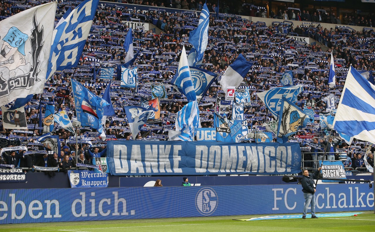 Die Botschaft der Schalke-Fans nach dem Rauswurf von Domenico Tedesco war eindeutig.