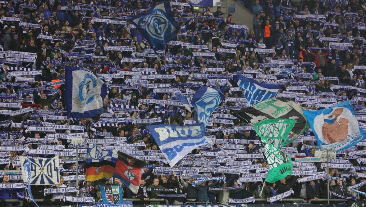 Schalke Fans.jpg
