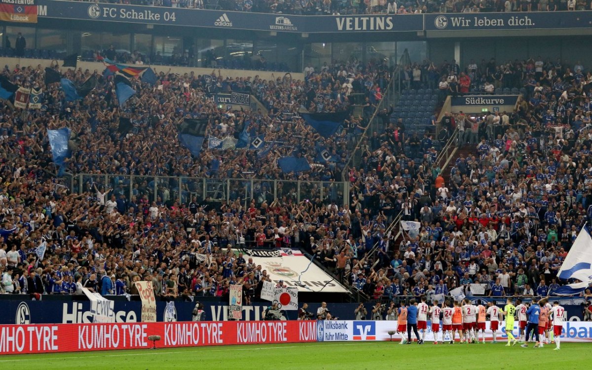 Schalke Hooligans.jpg