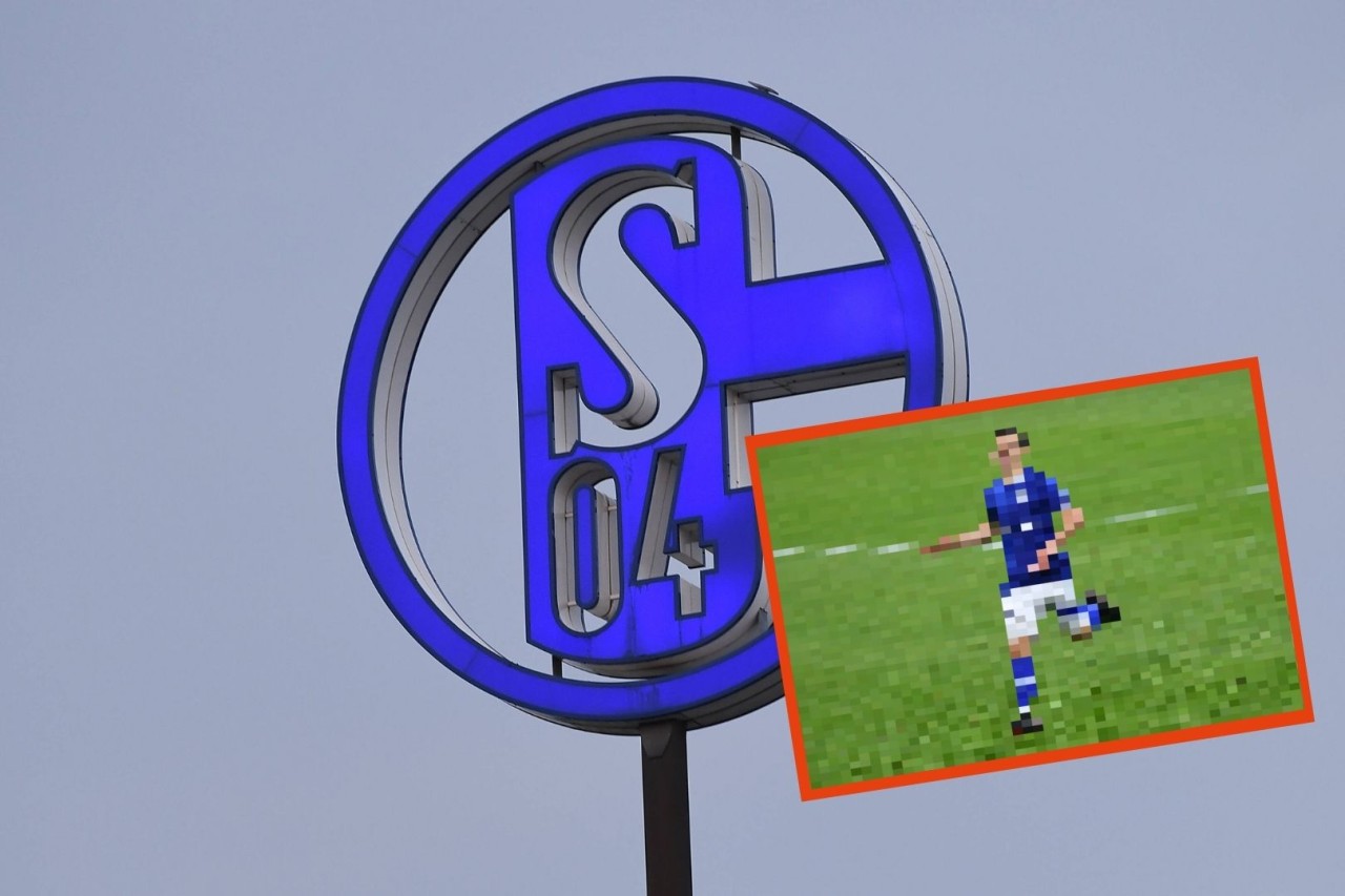 Gute Nachrichten beim FC Schalke 04! ER erhält einen Profivertrag.