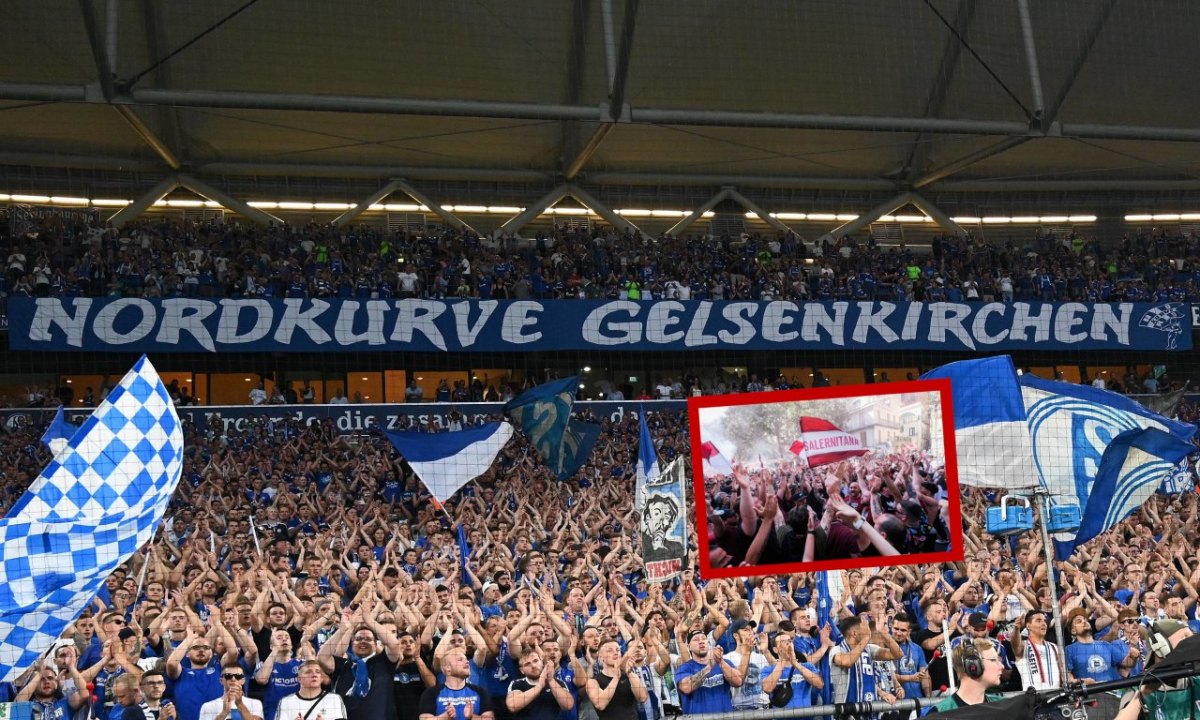 Schalke Salerno Fans Jubel.jpg
