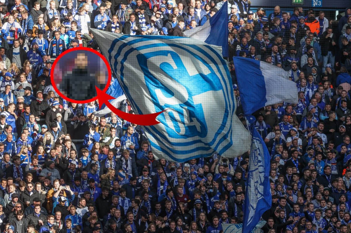 Schalke Tedesco.jpg