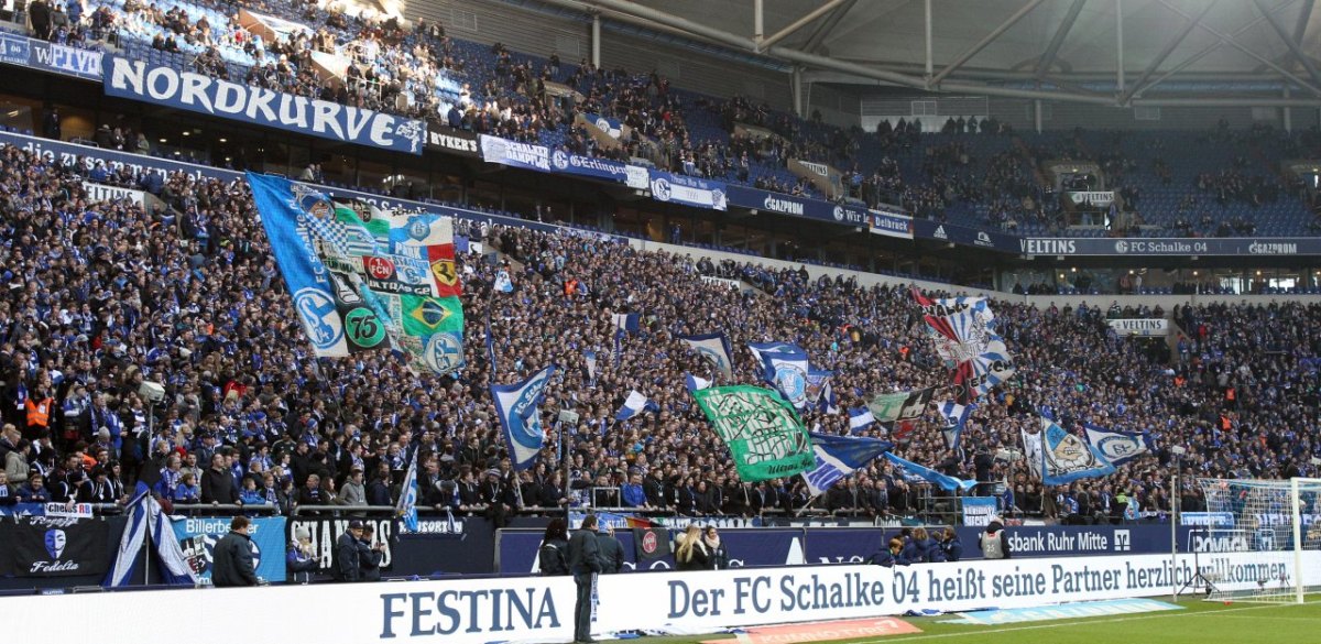 Schalke Ultras.jpg