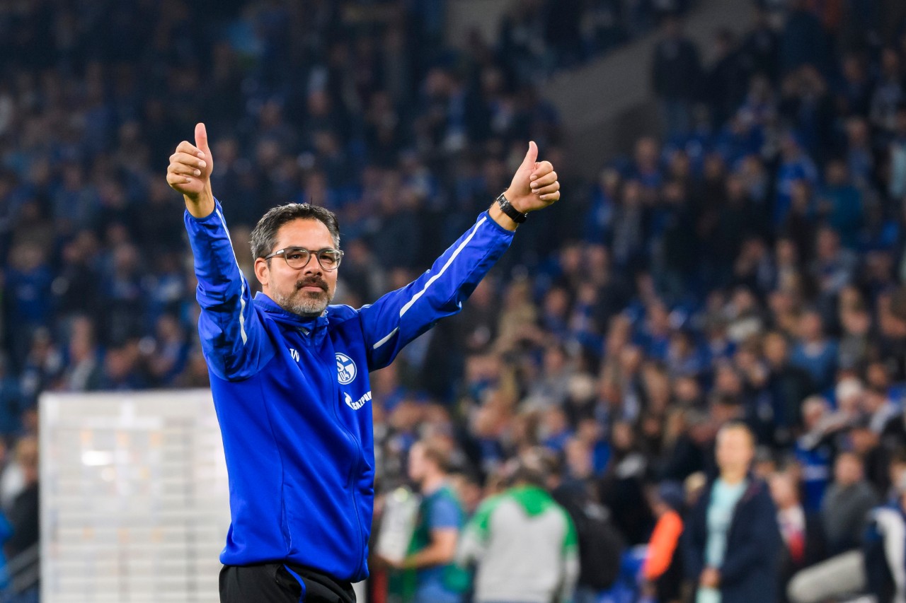 David Wagner freut sich über einen soliden Start beim FC Schalke 04.