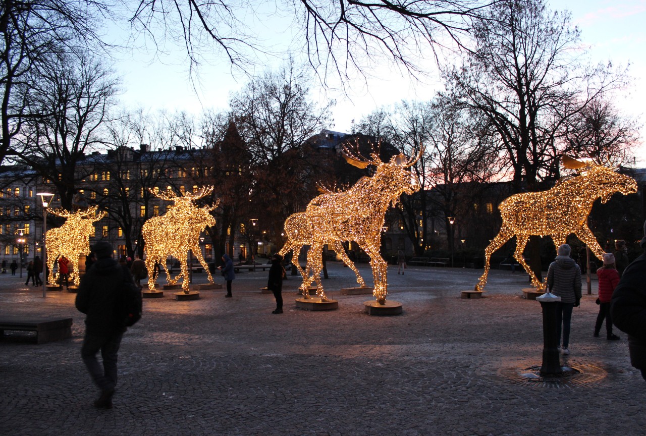 Eine Elchherde aus vielen Tausend Lichtern stapft durch die Innenstadt von Stockholm - buntes Licht findet man nicht.