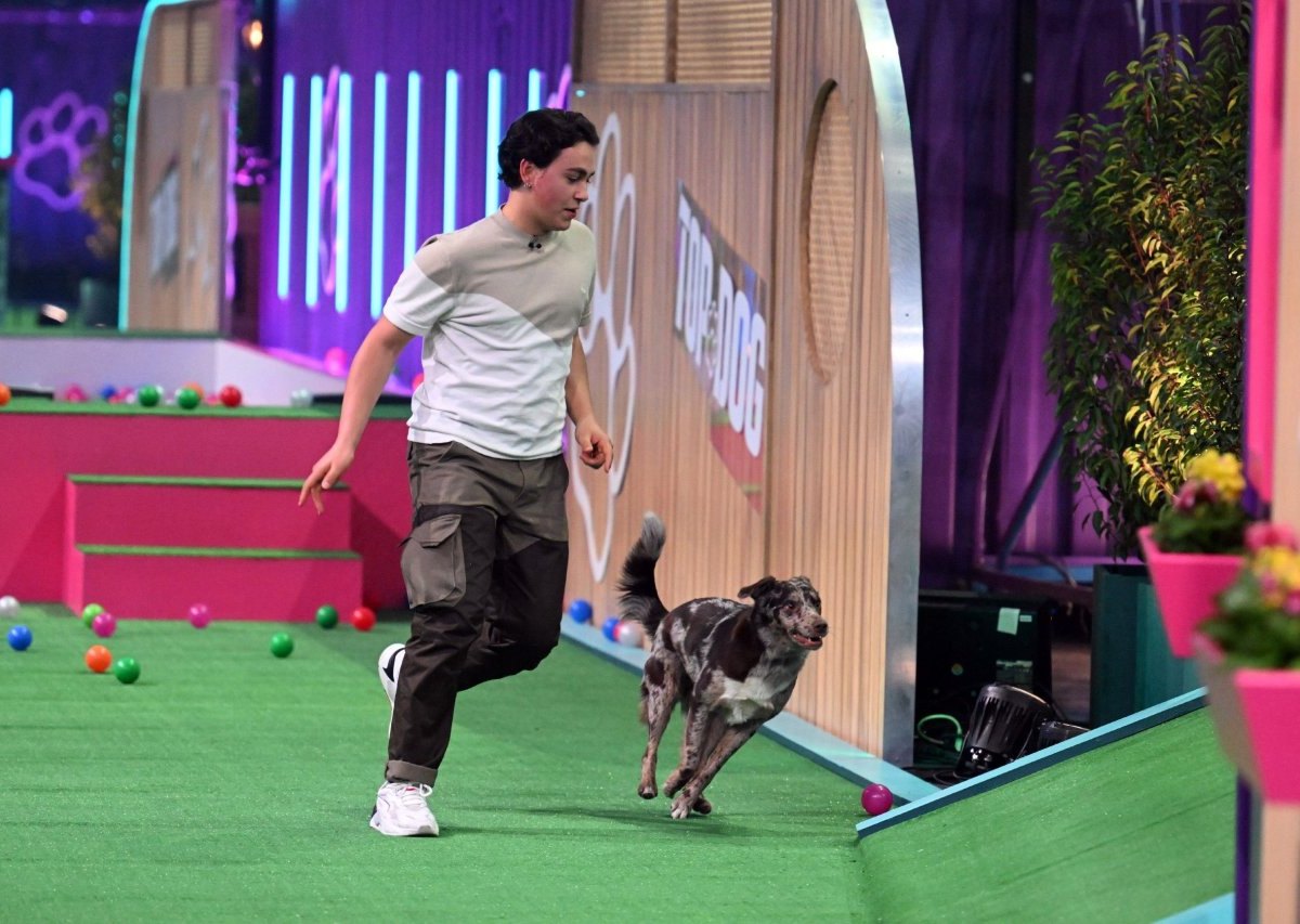 Top-Dog-Germany-Dario-Cleo.jpg