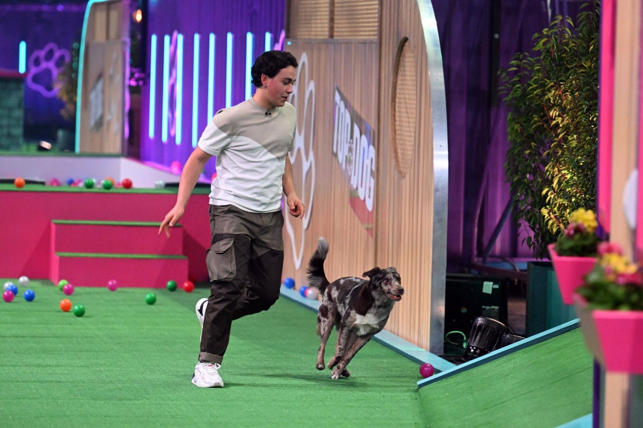 Dario und Hündin Cleo machen den Auftakt bei „Top Dog Germany“ auf RTL und sorgen direkt zu Beginn für Gänsehaut.
