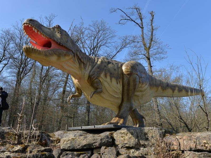 Tyrannosaurus Rex Dinosaurierpark Teufelsschlucht.jpg