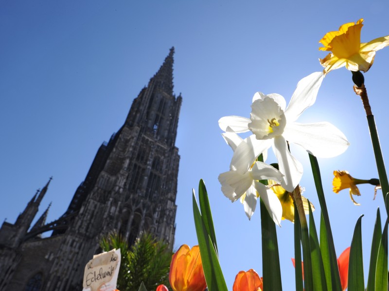 Seit Jahrhunderten ist der Ulmer Münster das Wahrzeichen der Stadt Ulm. Der Turm ist mit seinen 161,53 Meter der höchste Kirchturm der Welt. Die Bombardierungen der Stadt Ulm am Ende des Zweiten Weltkriegs 1944/1945 überstand er weitgehend unbeschädigt.