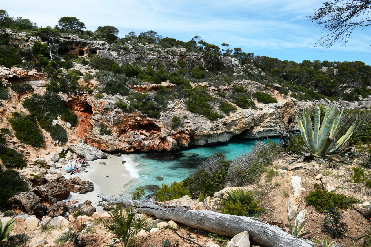 Urlaub auf Mallorca: Die Bucht Calo des Moro im Jahr 2016.