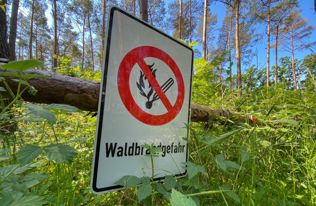 Die Waldbrandgefahr in NRW steigt wegen der anhaltenden Hitze. (Symbolbild)