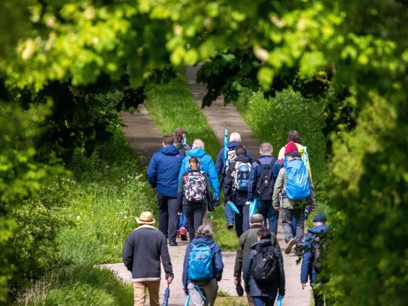 Wandergruppe auf dem neuem Naturparkweg in der Mecklenburgischen Seenplatte: Die 900 Kilometer lange Route führt durch neun Schutzgebiete.