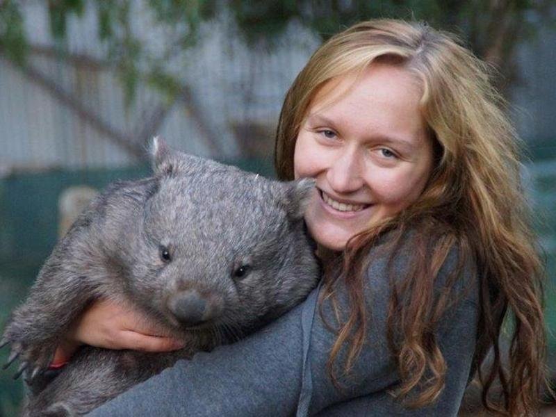 Warum nicht Wombats pflegen? Reisen und Naturschutz lassen sich bei Freiwilligeneinsätzen verbinden, die etwa das Netzwerk WWOOF vermittelt. Der Deal lautet: Arbeitskraft gegen Schlafplatz.