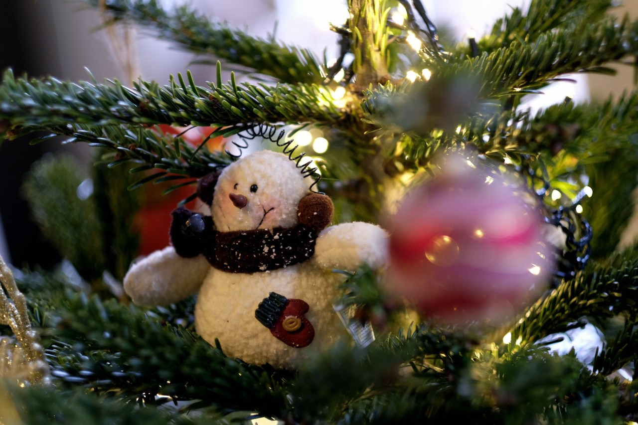 Können die Geschenke in diesem Jahr unter einem weißen Weihnachtsbaum ausgepackt werden? (Symbolbild)