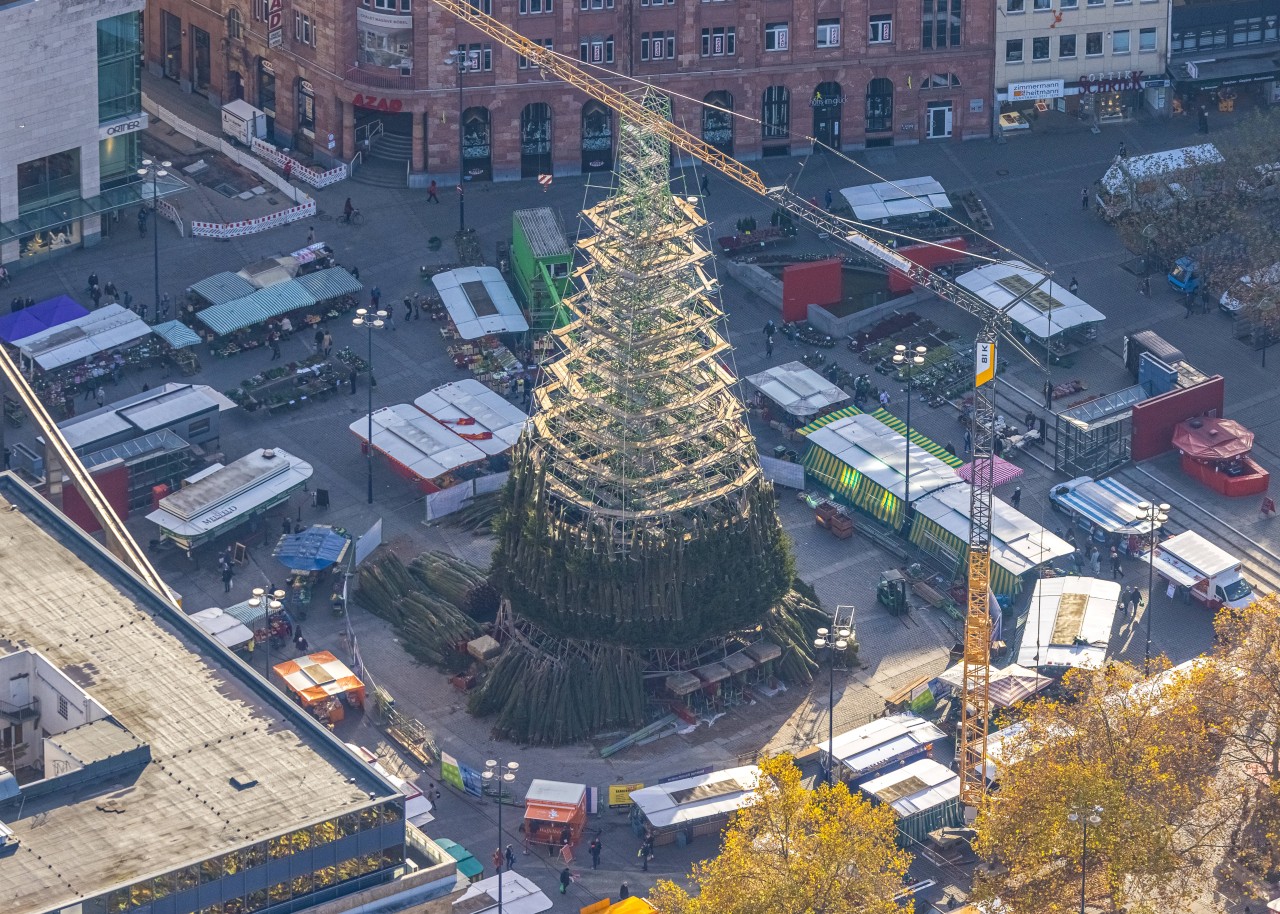 Dortmund: Der größte Weihnachtsbaum der Welt wird wieder aufgebaut, doch das gefällt nicht allen. (Archivbild) 