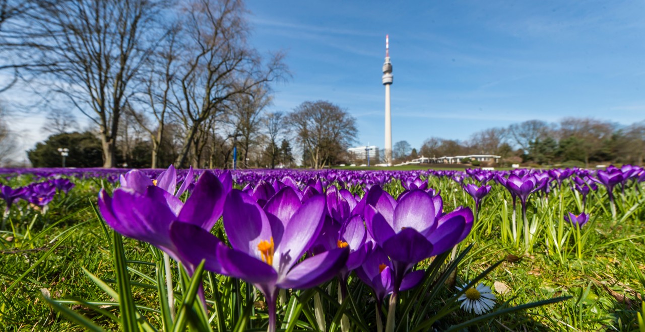 Auch im Westfalenpark sind Hunde an der Leine erlaubt.