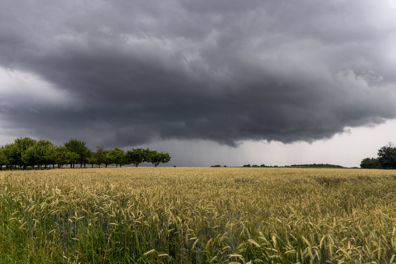 Wetter in NRW: Klimaforscher hat keine freudige Prognose. (Symbolbild) 