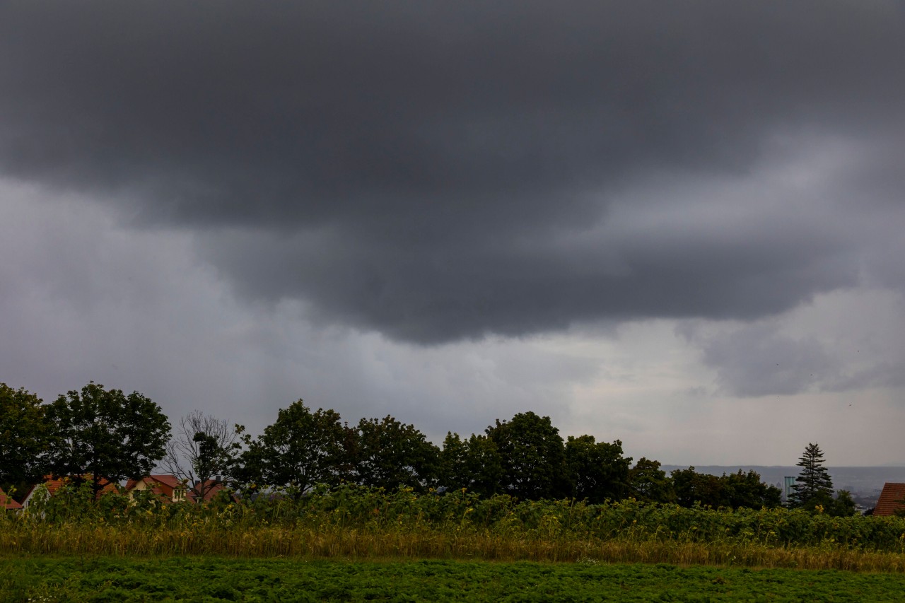 Wetter in NRW: Ab Donnerstag wird es wieder ungemütlicher. (Symbolbild)
