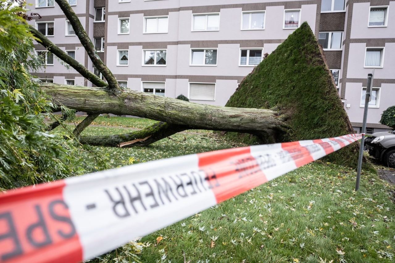 Sturm „Ignatz“ tobt in NRW. (Symbolbild)