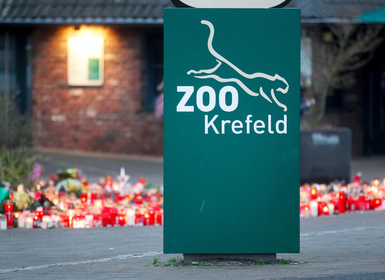 Zoo Krefeld: Nach der Tragödie zu Silvester vor zwei Jahren zündeten zahlreiche Menschen Kerzen vor dem Tierpark an.