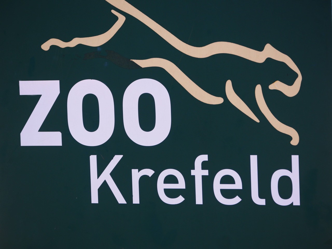 Zoo mit Hund in NRW: Auch in Krefeld ist dein Vierbeiner willkommen. (Symbolbild)