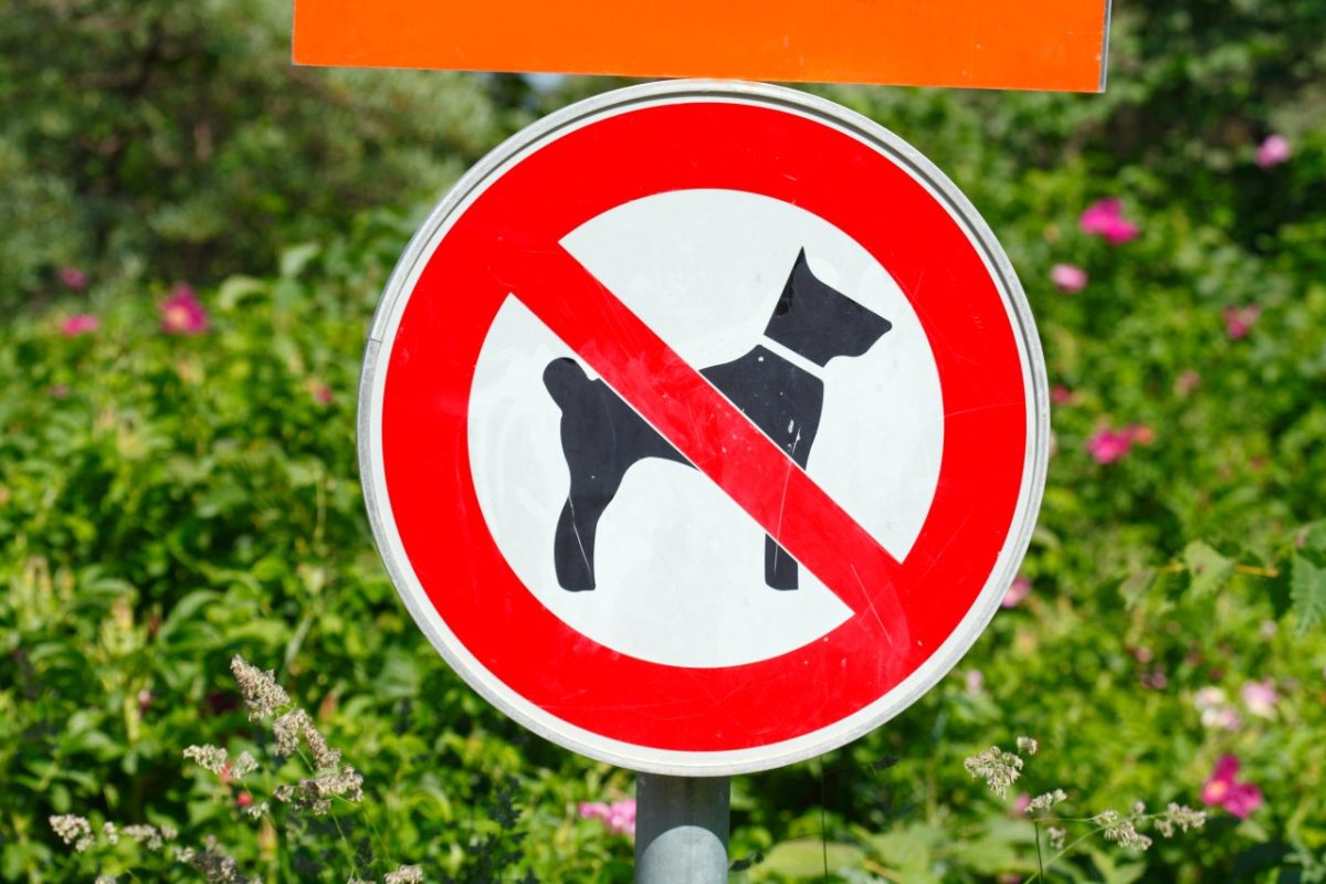 Ein Schild mit einem Hund drauf.