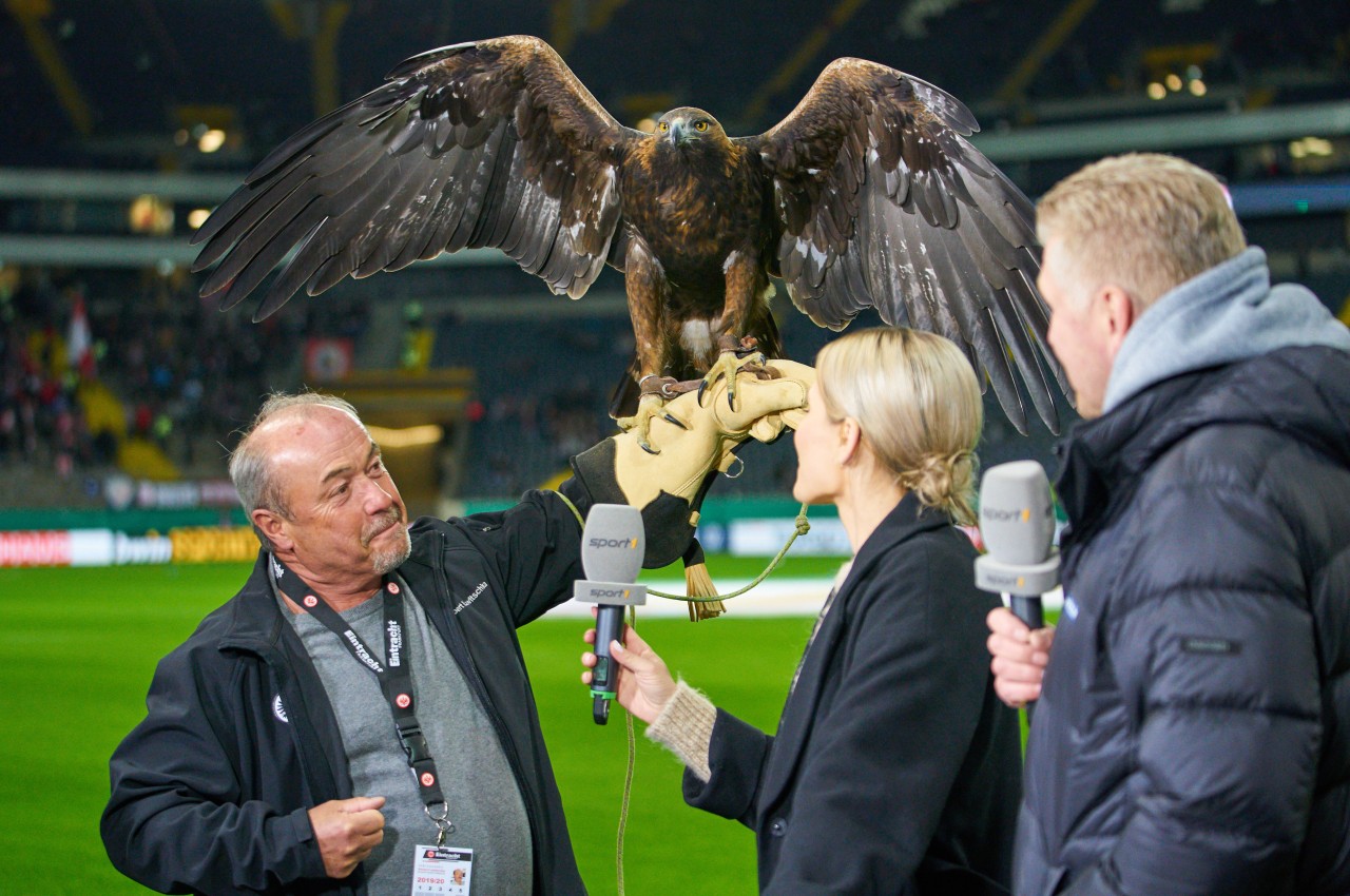 Wenn Eintracht Frankfurt mit Maskottchen Attila durch die Europa League zieht, ist Moderatorin Laura Papendick für RTL mittendrin.