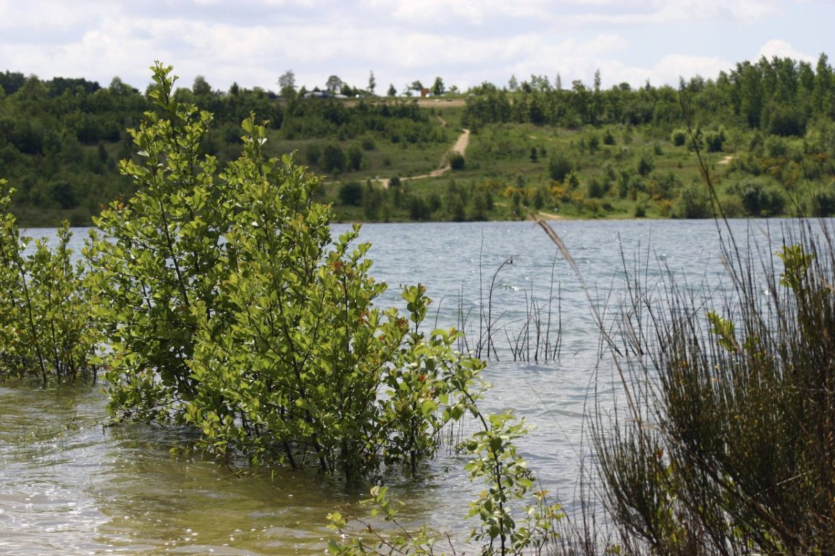 blausteinsee-eschweiler.jpg