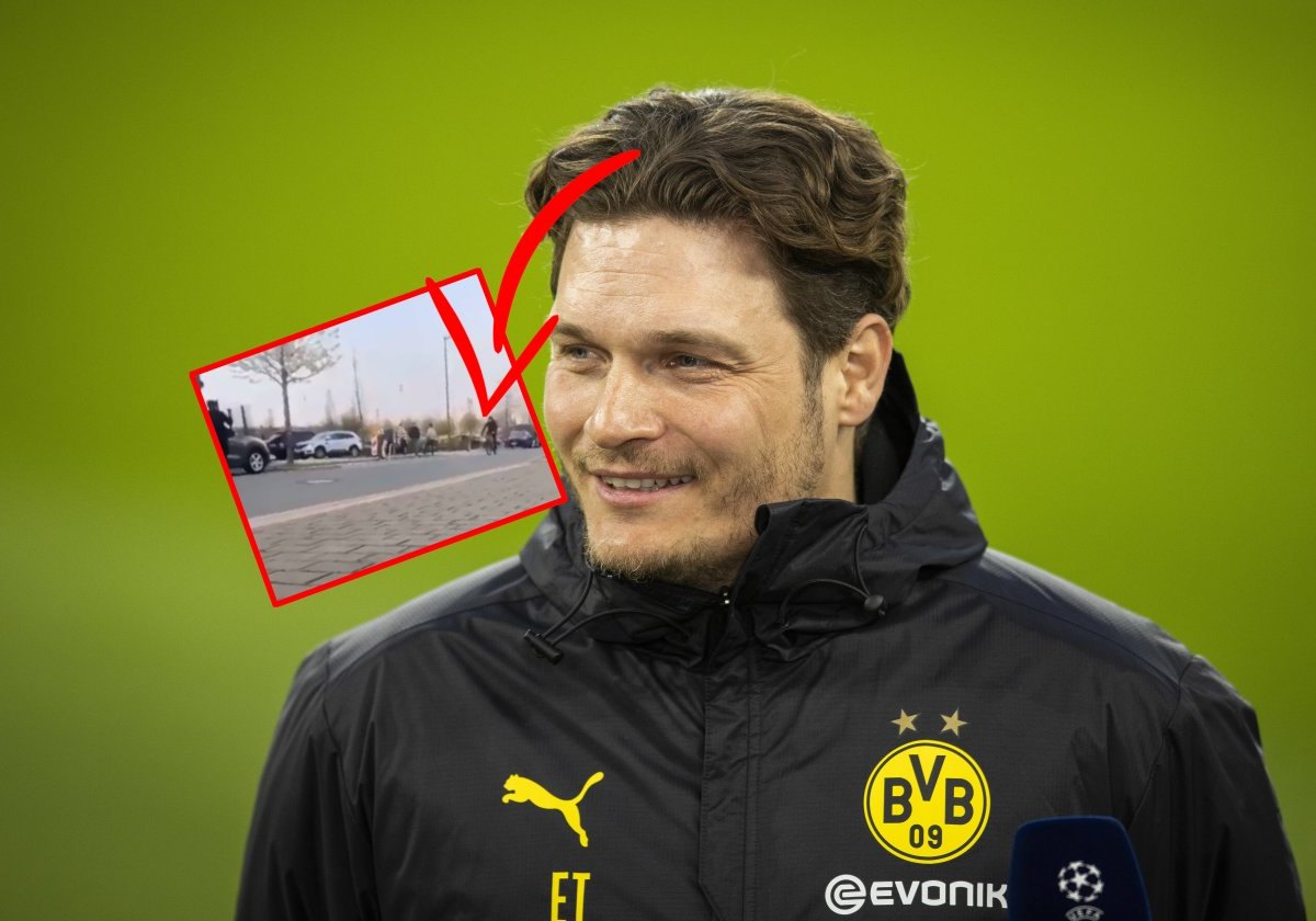 borussia-dortmund-edin-terzic.jpg