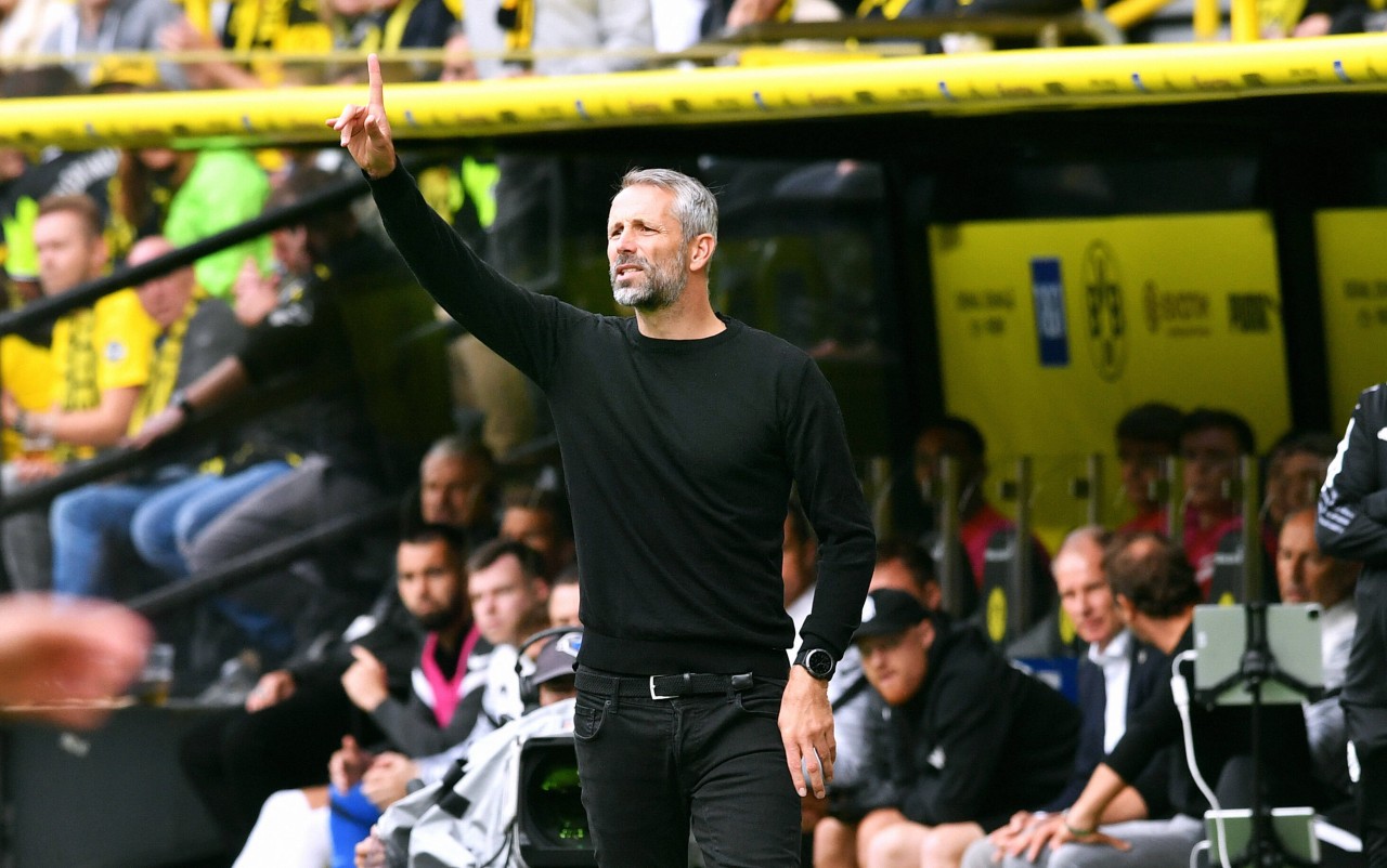Bei Borussia Dortmund spricht Trainer Marco Rose Klartext.
