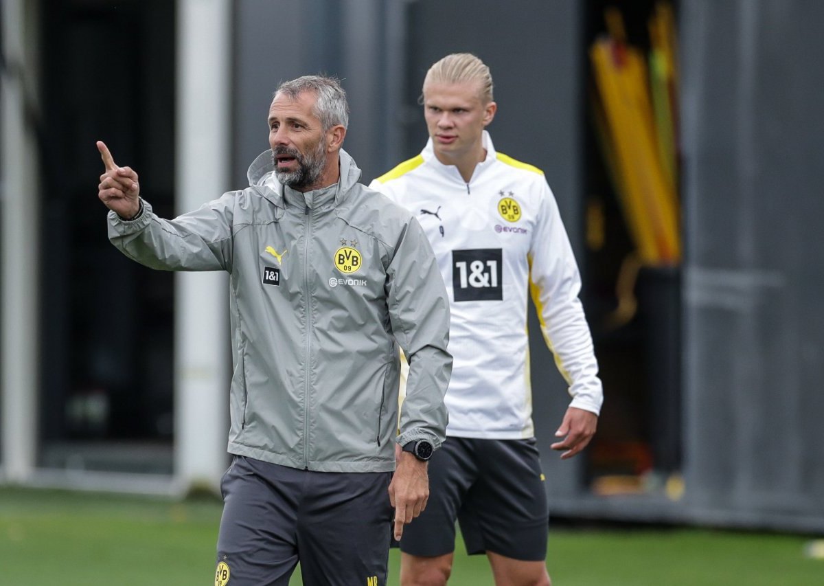 borussia-dortmund-rose.jpg