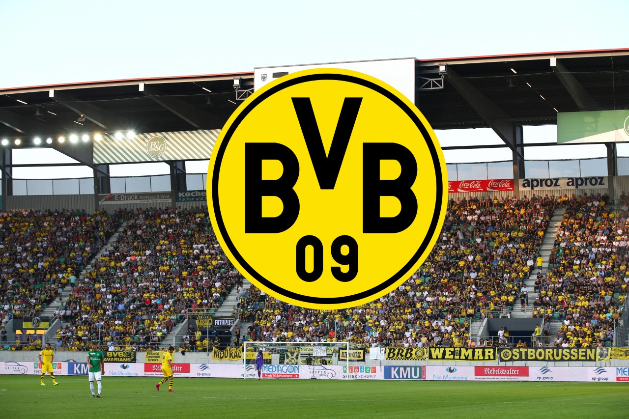 Die Fans Borussia Dortmund sind sauer über die Preise, die für Testspiel-Tickets verlangt werden.