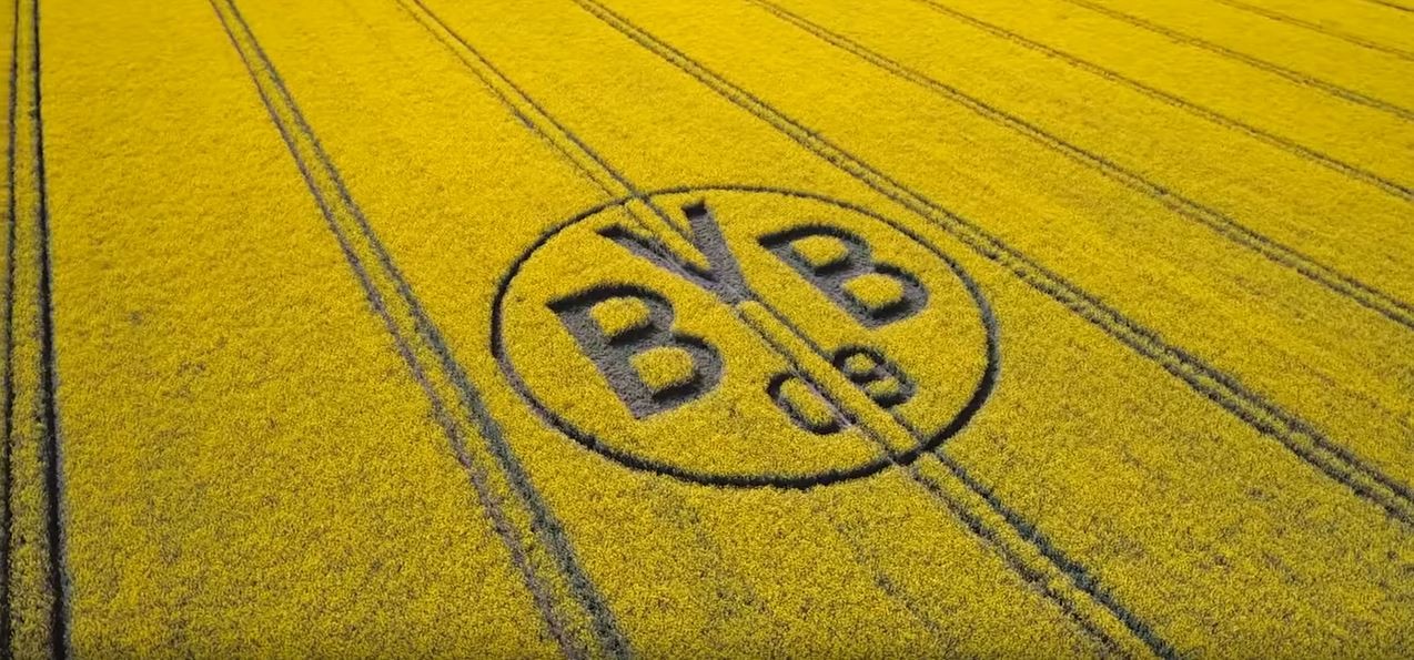 Das BVB-Logo erstrahlt auf dem Feld in seinem vollen Glanz.
