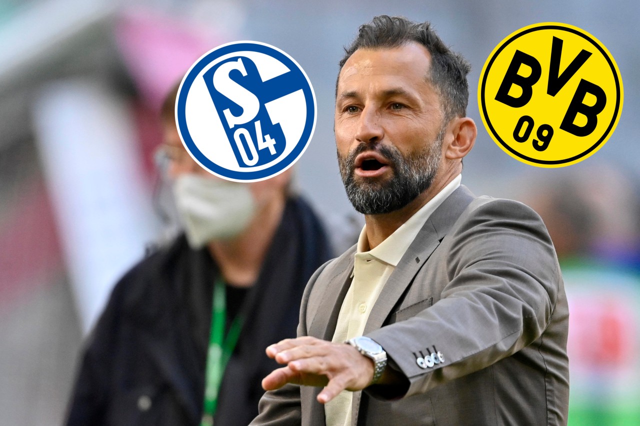 Gelten der BVB und Schalke für den FC Bayern um Sportdirektor Hasan Salihamidzic in gewisser Weise als Vorbilder?
