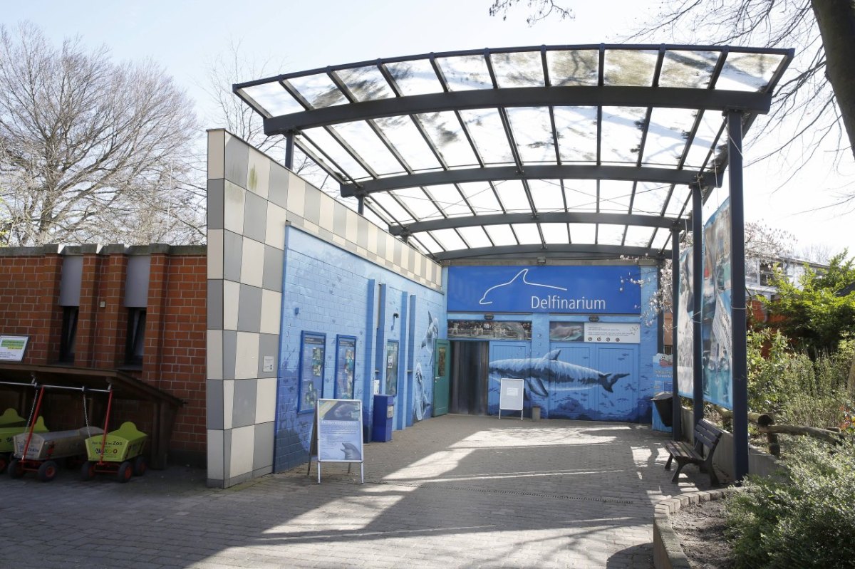 delfinarium-duisburg.jpg