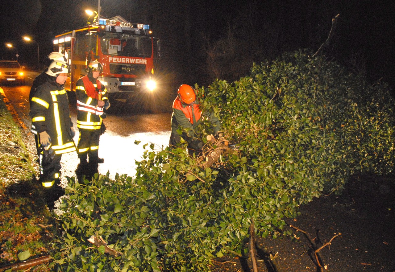 In Dorsten stürzte an der Straße Wittenbrink ein Baum auf die Straße, der von der Feuerwehr zerlegt werden musste. Foto: Guido Schulmann / WAZ FotoPool