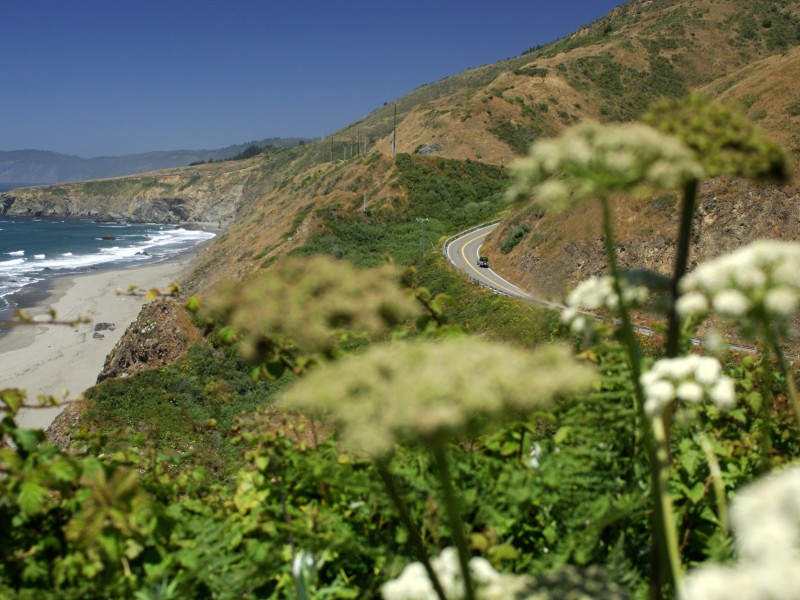 Ozeanische Gefühle: Der Highway 101 entlang der Westküste der USA zählt zu den schönsten Küstenstraßen der Welt.