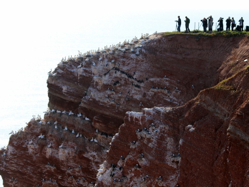 Der Außenposten der Zivilisation: Zu Besuch auf Helgoland