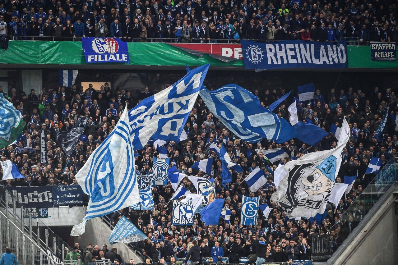 Fans des FC Schalke 04 hatten in Köln einen Ordner krankenhaus geprügelt.
