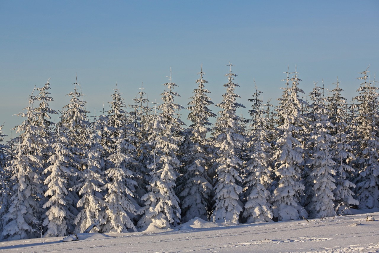 In NRW wird diese Woche bereits der erste Schnee erwartet. (Symbolbild)