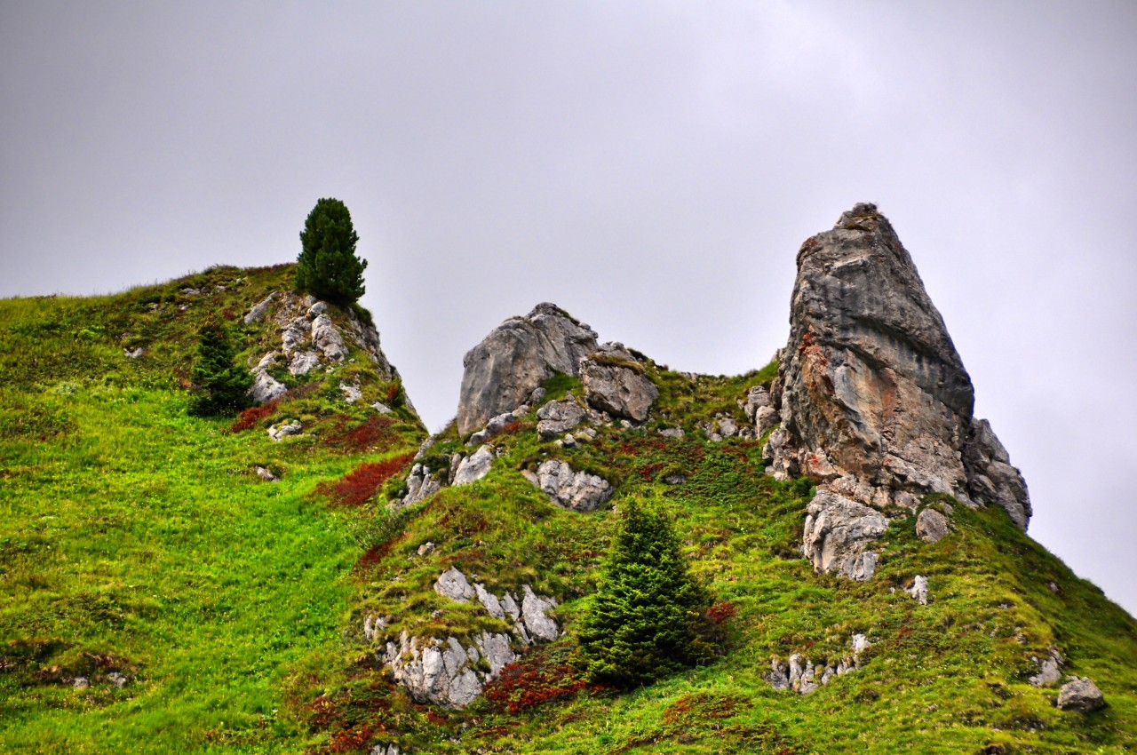 In ihrem Urlaub wanderte ein Frau aus Deutschland in Südtirol (Italien). Auf einem hohen Berg stürzte sie ab und starb.