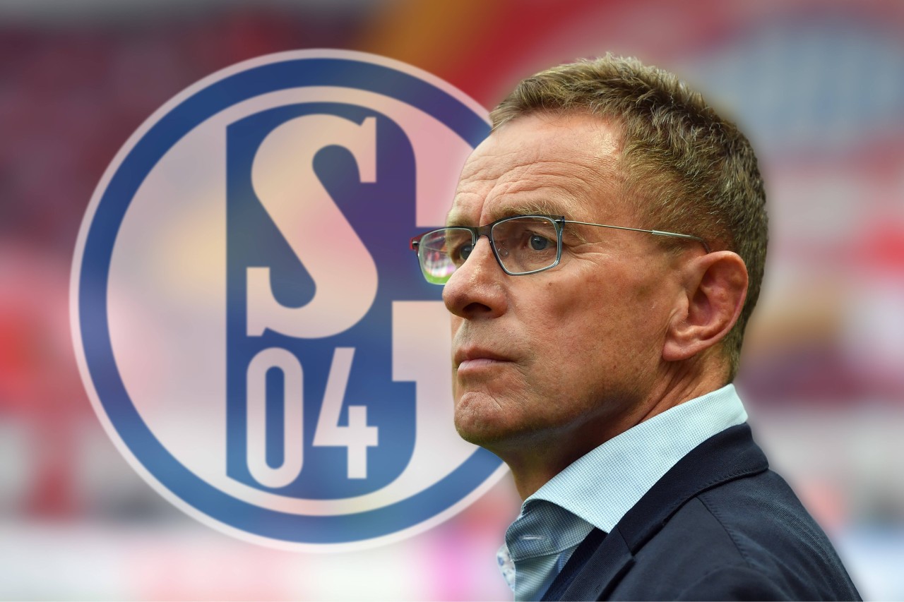 Viele Schalke-Fans hofften im Frühjahr auf ein Comeback von Ralf Rangnick bei Königsblau. Doch es kam anders.